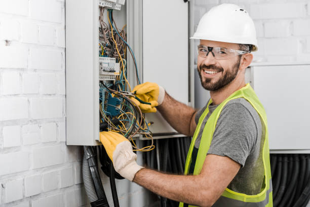 Best Electric Panel Repair  in Ofallon, MO